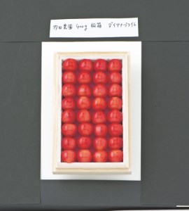 〈多田農園〉さくらんぼ　ダイアナブライト F2Y-0047