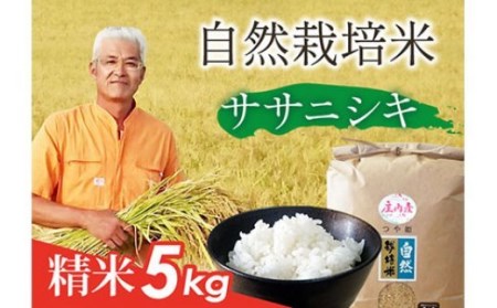 自然栽培米 ササニシキ 精米 5kg F2Y-1674