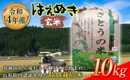 令和4年産 はえぬき 玄米10kg 特別栽培米 F2Y-2633