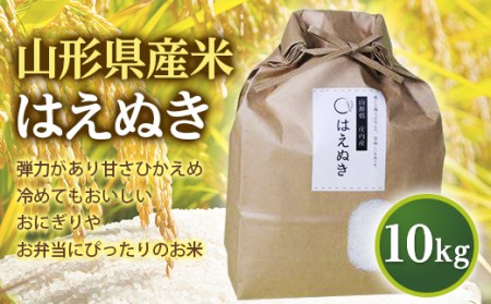 山形県産米 はえぬき10kg F2Y-2802