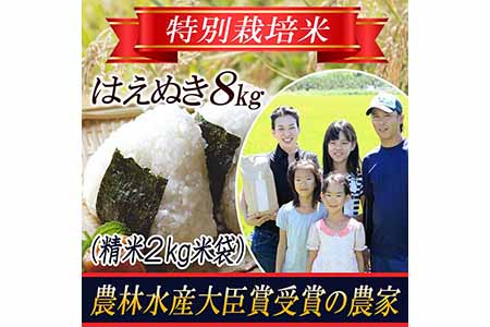 【令和5年産米】特別栽培米 はえぬき 精米 2kg×4袋 山形県庄内産 F2Y-3130