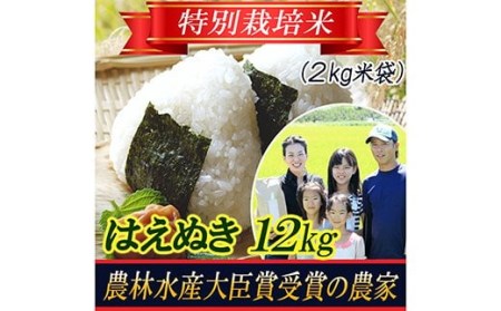 【令和5年産米】特別栽培米 はえぬき 精米2kg×6袋 山形県庄内 F2Y-3138