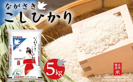 【AA040】長崎県産米 令和5年産 ながさきこしひかり 5kg