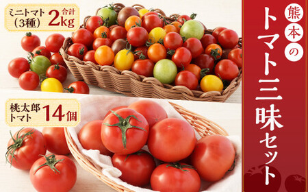 熊本の トマト 三昧（ミニ2kg＋桃太郎トマト14個） 2種 とまと ミニトマト 野菜 やさい 国産 【2025年2月上旬発送開始】