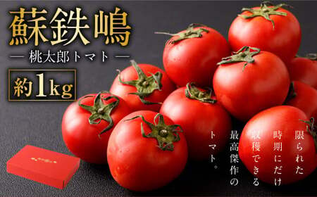 蘇鉄嶋 （ 桃太郎トマト ） 約1kg とまと トマト やさい 野菜 国産  【2025年5月上旬発送開始】