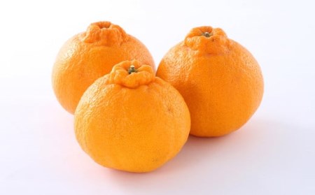 【年4回定期便】くまもと旬のフルーツ定期便 すいか 梨 柿 デコポン