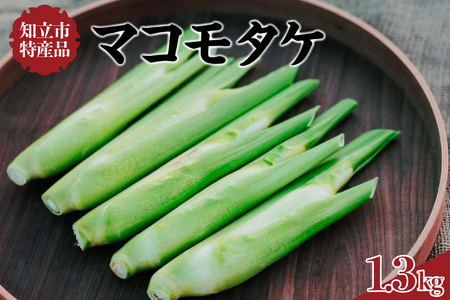 知立市特産　マコモタケ1.3kg【10月発送】お料理レシピ付（1250）