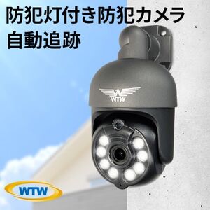 みてるちゃん5Plus ガンメタ 防犯カメラ 監視カメラ 屋外 家庭用WTW-EGDRY388GBX【1406873】