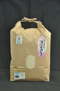大津産コシヒカリ「はなふじ」　精米　5kg