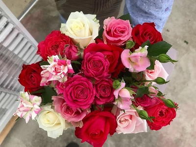 【定期便：12カ月】國枝バラ園から直送！Flower Bouquet（20本の花束）おまかせ
