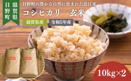 【令和5年産】 コシヒカリ 玄米20kg
