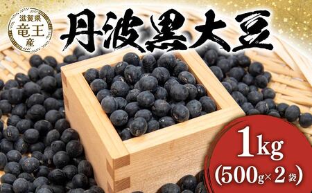 【先行予約】丹波黒豆 1kg ( 500g × 2袋 ) 竜王町産 黒豆 丹波黒 黒豆 丹波黒 黒豆 丹波黒 黒豆 丹波黒 黒豆 丹波黒 黒豆 丹波黒 黒豆 黒豆 丹波黒 黒豆 丹波黒 黒豆 丹波黒 黒豆 丹波黒 黒豆 丹波黒 黒豆 丹波黒 黒豆 黒豆 丹波黒 黒豆 丹波黒 黒豆 丹波黒 黒豆 丹波黒 黒豆 丹波黒 黒豆 丹波黒 黒豆 黒豆 丹波黒 黒豆 丹波黒 黒豆 丹波黒 黒豆 丹波黒 黒豆 丹波黒 黒豆 丹波黒 黒豆 丹波黒 黒豆 丹波黒 黒豆 丹波黒 黒豆 丹波黒 黒豆 丹波黒 黒豆 丹波黒 黒豆 丹波黒 黒豆 