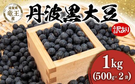 【先行予約】訳あり 丹波黒豆 1kg ( 500g × 2袋 ) 竜王町産 黒豆 丹波黒 黒豆 丹波黒 黒豆 丹波黒 黒豆 丹波黒 黒豆 丹波黒 黒豆 丹波黒 黒豆 黒豆 丹波黒 黒豆 丹波黒 黒豆 丹波黒 黒豆 丹波黒 黒豆 丹波黒 黒豆 丹波黒 黒豆 黒豆 丹波黒 黒豆 丹波黒 黒豆 丹波黒 黒豆 丹波黒 黒豆 丹波黒 黒豆 丹波黒 黒豆 黒豆 丹波黒 黒豆 丹波黒 黒豆 丹波黒 黒豆 丹波黒 黒豆 丹波黒 黒豆 丹波黒 黒豆 丹波黒 黒豆 丹波黒 黒豆 丹波黒 黒豆 丹波黒 黒豆 丹波黒 黒豆 丹波黒 黒豆 丹波黒 黒豆 