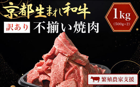 A4ランク以上！【訳あり】京都生まれ和牛 不揃い焼肉1.2kg(300g×4パック)【繁殖農家支援】FCCW010