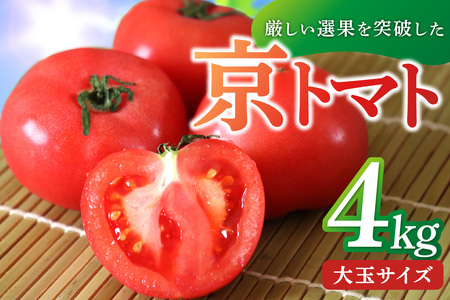 京丹後産・京トマト 4kg（12～24玉） 春夏発送