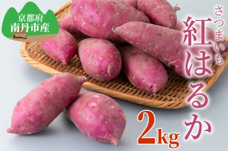 【期間限定販売】京都・南丹市産さつまいも　紅はるか2kg[髙島屋選定品］011N556 