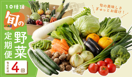 10種類の新鮮野菜 定期便 全4回 詰め合わせ 国産 冷蔵発送【毎月配送コース】