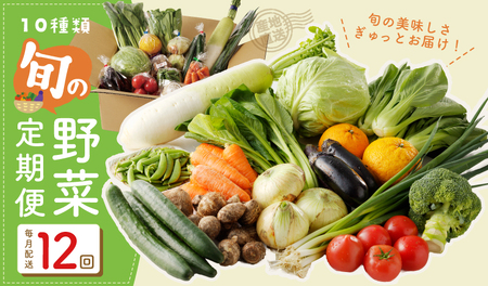 10種類の新鮮野菜 定期便 全12回 詰め合わせ 国産 冷蔵発送 年間【毎月配送コース】