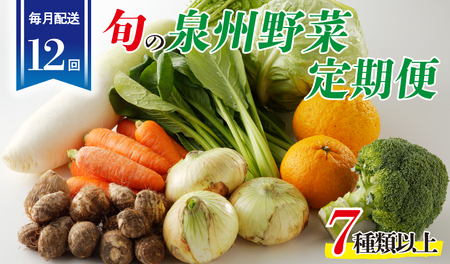 泉州野菜 定期便 全12回 7種類以上 詰め合わせ 国産 新鮮 冷蔵【毎月配送コース】