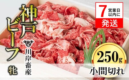 【神戸牛 牝】小間切れ:250g 川岸畜産 (06-6)【冷凍】
