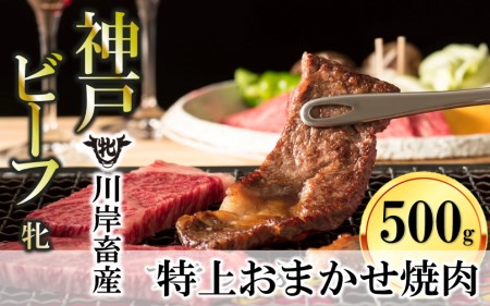 【神戸牛 牝】特上 焼肉おまかせセット:500g 川岸畜産 (25-10)【冷蔵】