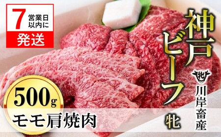 【神戸牛 牝】モモ肩焼肉用:500g 川岸畜産 (22-20)【冷凍】