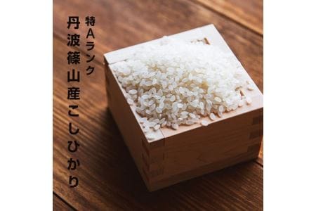 特A ランク米【特別栽培米】丹波篠山産コシヒカリ  5kg BA07