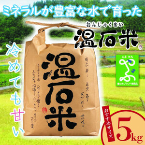 甘くて、冷めても美味しい「温石米」5kg(2023年収穫米)【1363254】
