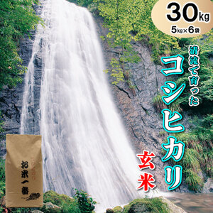多可町加美区の清流で育ったコシヒカリ【玄米】５kg×６袋[831]