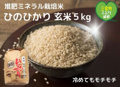 【令和5年産】「ひのひかり」玄米5kg 奈良県 三宅町 ヒノヒカリ 冷めてもおいしい もちもち