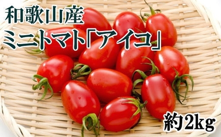 【2025年6月出荷分】和歌山産ミニトマト「アイコトマト」約2kg（S・Mサイズおまかせ）【TM166】