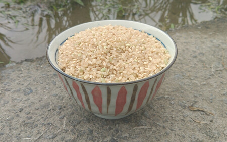ミネアサヒ 玄米5kg（令和5年産） 天日干し米 / 米 お米 こめ ライス ごはん おにぎり 和歌山【trt010】