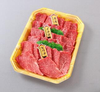高級和牛「熊野牛」特選モモ焼肉食べ比べセット600g　4等級以上【準備でき次第、順次発送いたします】
