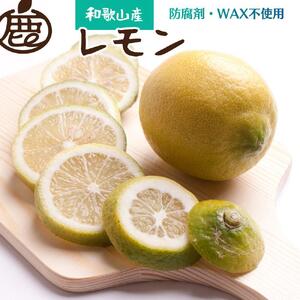 厳選 レモン2.5kg+75g（傷み補償分）【和歌山有田産】【防腐剤・WAX不使用、安心の国産レモン】