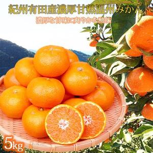 季節の柑橘定期便（みかん・不知火・せとか） 全3回 【1・2・3月発送】