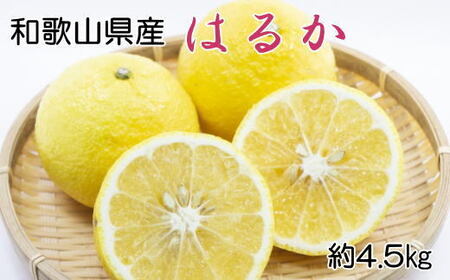 【さわやか柑橘】和歌山県産はるかみかん約4.5kg（サイズ混合　ご家庭用）※2025年2月下旬～3月下旬頃に順次発送予定