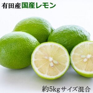 有田産の安心国産レモン約5kg(サイズ混合) (日高町)【1412633】