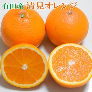 【濃厚】有田産清見オレンジ約5kg(M～3Lサイズおまかせ)ご家庭用(日高町)【1504260】