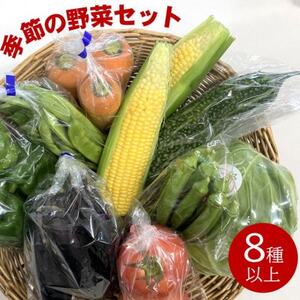 ファーマーズマーケット厳選　日高からの贈り物　季節の野菜セット(8種以上)【野菜詰め合わせ】【配送不可地域：離島】【1523337】