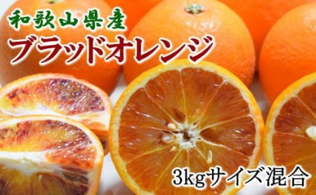 【希少・高級柑橘】国産濃厚ブラッドオレンジ「タロッコ種」3kg ※2025年4月上旬～2025年4月下旬頃順次発送【tec503A】