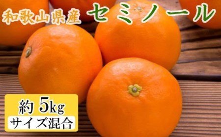 和歌山県由良町産セミノールオレンジ約5kg(サイズ混合　秀品) 【tec922A】