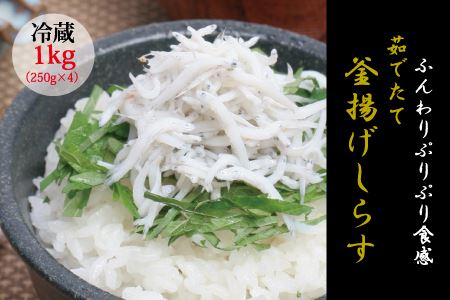 茹でたて釜揚げしらす　1kg(250g×4パック)【冷蔵】 無添加・無着色 しらす シラス 釜揚げ 小分け 冷蔵 【mar101f】