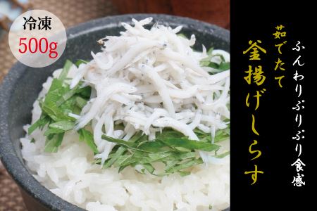 茹でたて釜揚げしらす　500g【冷凍】 無添加・無着色 しらす シラス 釜揚げ 冷凍 【mar102f】