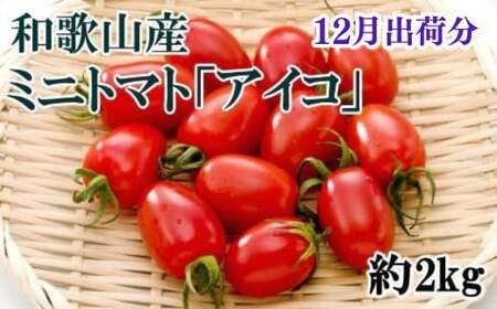 【12月発送】和歌山産ミニトマト「アイコトマト」約2kg（S・Mサイズおまかせ）【tec100-12】