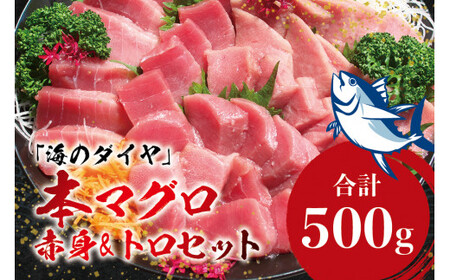 本マグロ（養殖）トロ＆赤身セット 500g 【通常発送】 高級 クロマグロ  中トロ 中とろ まぐろ マグロ 鮪 刺身 赤身 柵 じゃばらまぐろ 本マグロ 本鮪【nks110B】