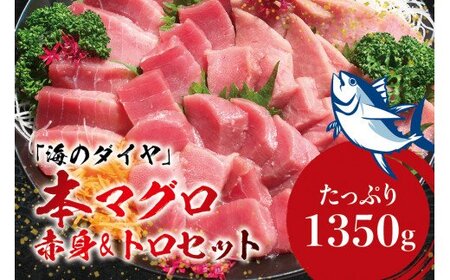 本マグロ（養殖）トロ＆赤身セット 1350g 【2月発送】高級 クロマグロ  中トロ 中とろ まぐろ マグロ 鮪 刺身 赤身 柵 じゃばらまぐろ 本マグロ 本鮪【nks111B-2】