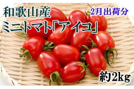 【2月出荷分】和歌山産ミニトマト「アイコトマト」約2kg（S・Mサイズおまかせ）【tec100-2】