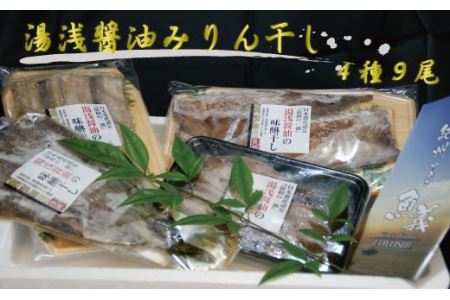 和歌山の近海でとれた新鮮魚の湯浅醤油みりん干し4品種9尾入りの詰め合わせ【tec200A】