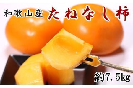 【秋の味覚】和歌山産のたねなし柿約7.5kg(L～4Lサイズおまかせ)　※2024年10月上旬～11月上旬頃順次発送予定【tec402A】