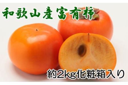 ［厳選・産直］和歌山産の富有柿約2kg（化粧箱入り）（2L～4Lサ イズ）※2024年11月上旬～2024年12月上旬頃に順次発送【tec406A】